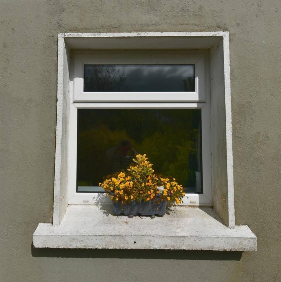 Peaceful Cottage Cork Exteriör bild